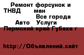 Ремонт форсунок и ТНВД Man (ман) TGA, TGL, TGS, TGM, TGX - Все города Авто » Услуги   . Пермский край,Губаха г.